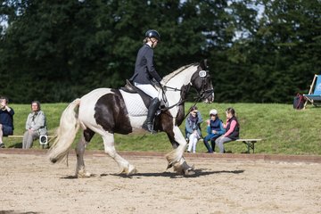 Bild 61 - Pony Akademie Turnier